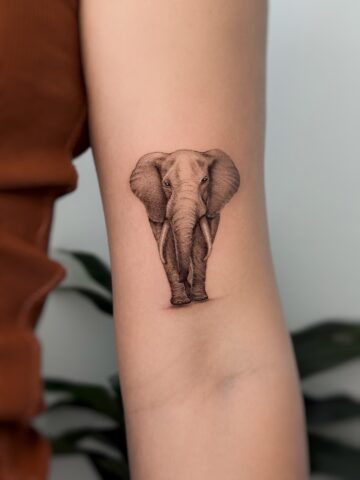 Elephant Tattoos