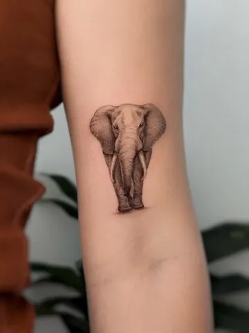 Elephant Tattoos