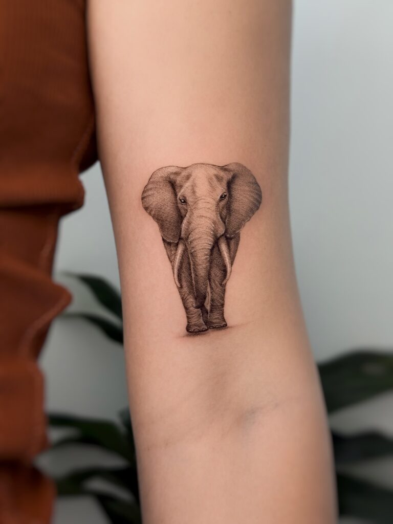 Elephant Tattoos